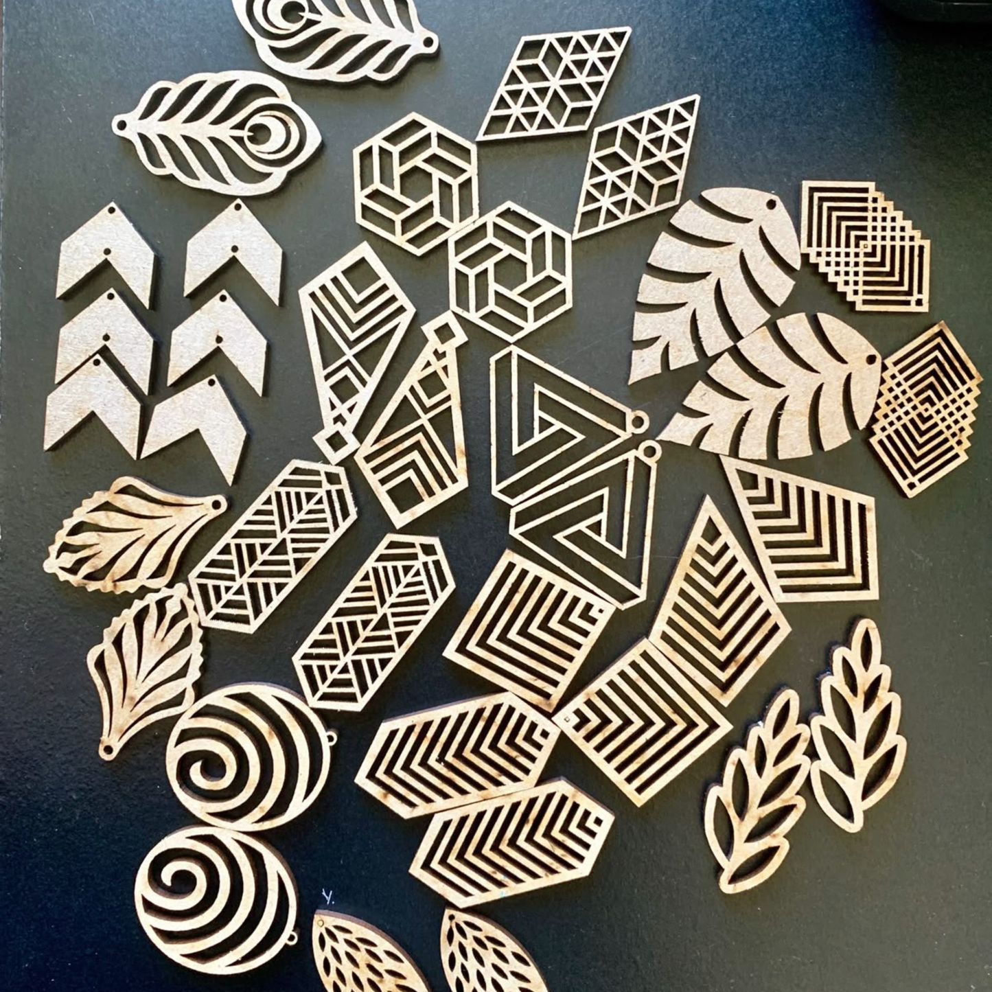 Earrings